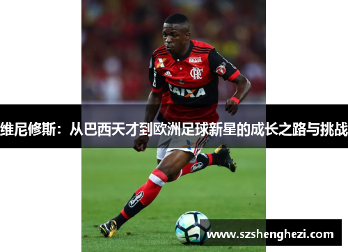 维尼修斯：从巴西天才到欧洲足球新星的成长之路与挑战
